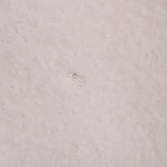 COPY - MONCLER JACKET - Picture 8 of 16